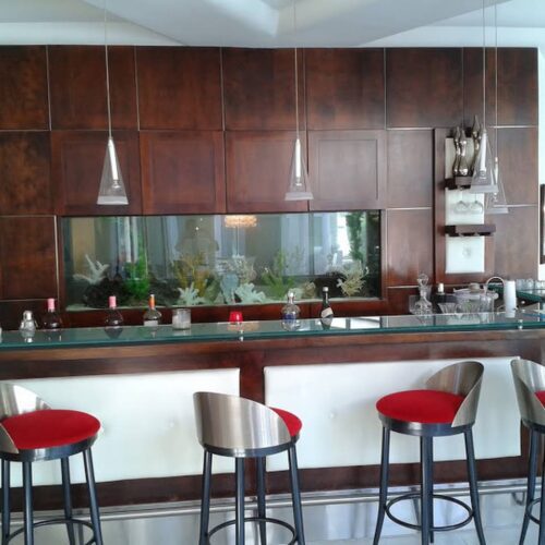 aquarium-built-in-bar